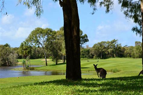 Yeppoon Golf Club | All Square Golf