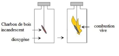 Faire Le Sch Ma De La Combustion Du Carbone Dans Le Dioxyg Ne