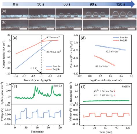 In Situ Optical Microscopy Observation Of A Bare Zn And B Zn Sb In A