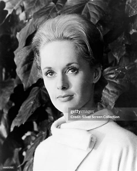 American Actress Tippi Hedren Circa 1963 News Photo Getty Images