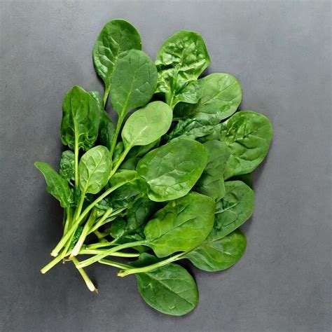 Premium Photo Bunch Of Spinach Leaves On Isolated White Background