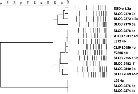 Dendrogram Derived From A Pfge Profile Of Apai Macrorestriction Showing