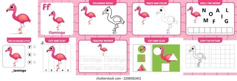 Worksheets Pack Kids Flamingo Vector Stock Vector Royalty Free