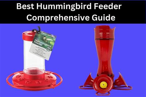 Best Hummingbird Feeder Comprehensive Guide