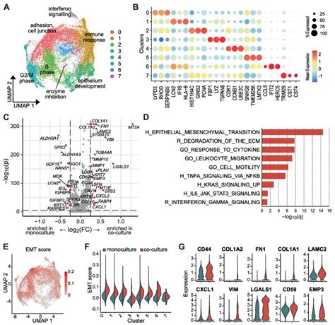 Patient Specific Modeling Of Stroma Mediated Chemoresistance Of