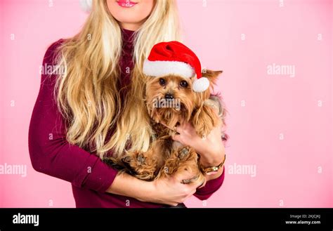 Ways To Have Merry Christmas With Pets Girl Attractive Blonde Hold Dog