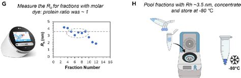 Figure From Protocol To Determine Antibody Affinity And Concentration