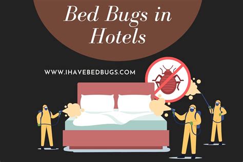 Bed Bugs In Hotels Tips To Remove