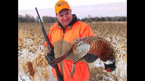 South Dakota Pheasant Hunting In The Snow Youtube