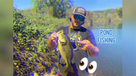 Sight Fishing For Largemouth Bass Youtube