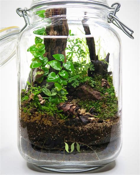 38 Fantastic Moss Terrarium Ideas You Can Have At Home Artofit