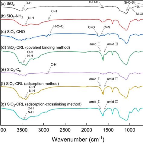 Ftir Spectrum Of A Sio2 B Sio2 Nh2 C Sio2 Cho D Sio2 Crl Download Scientific Diagram