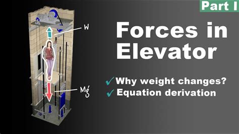 Apparent Weight Of A Man In A Lift How To Use Newton S Laws Of Motion