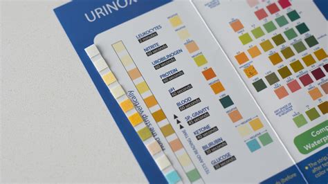 10 Parameter Urinalysis Test At Home