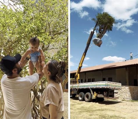 Poeta Bráulio Bessa planta pé de acerola gigante em casa e viraliza nas