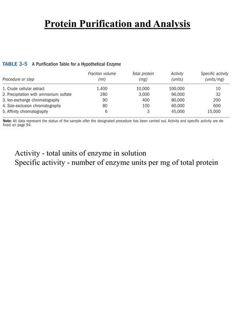 Ppt Protein Purification And Analysis Powerpoint Presentation Free Download Id 628583