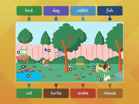 Pets Labelled Diagram