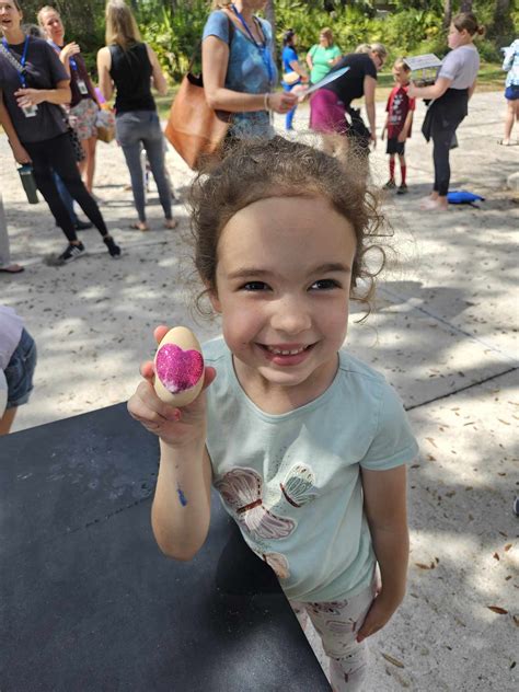 Egg Drop Homeschooling