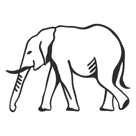 Design Png E Svg De Doodle De Cauda Plana De Elefante De Marfim Orelha