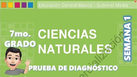 Prueba De Diagnostico De Ciencias Naturales Mo Grado Semana