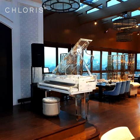 Music Instrument Luxury Hotel Acrylic Grand Piano Hg168 With Player