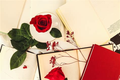 Libros Recomendados Para Sant Jordi