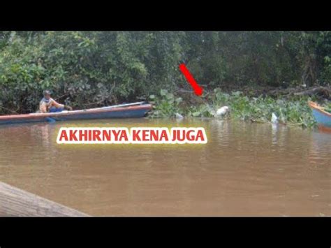 Beruntung Sekali Mancing Kali Ini Dapat Ikan Bawal Ikan Mas Nila Dan