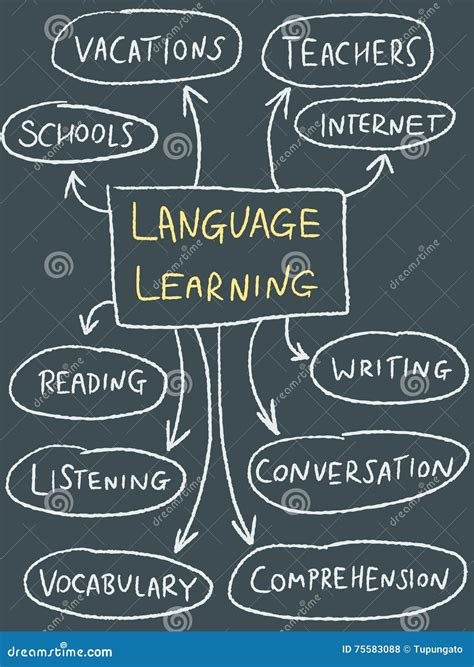 Language Learning Stock Vector Illustration Of Mindmap