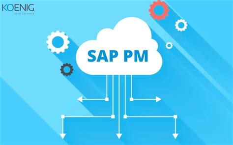 SAP PM Overview ERProof 51 OFF Gbu Presnenskij Ru