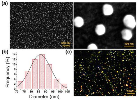 Biosensors Free Full Text Wearable Localized Surface Plasmon