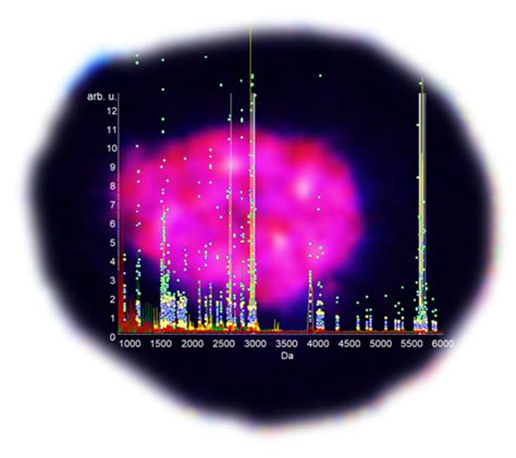 Research Image [image] Eurekalert Science News Releases