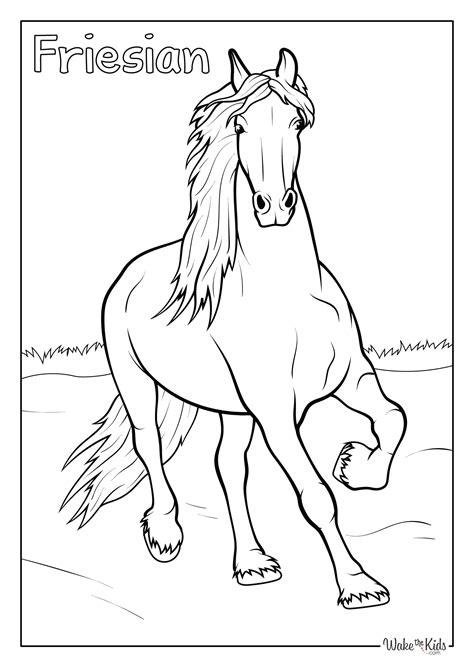 Friesian Horse Coloring Pages (Free Printable PDFs) | WakeTheKids