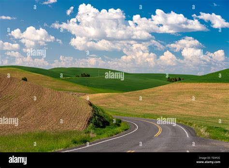 Rolling Hills And Grain Field Patterns Of The Palouse Washington Usa