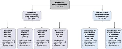 Using Fractional Exhaled Nitric Oxide Feno To Diagnose Steroid