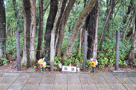 大阪府の阿武山古墳！被葬者について 遺跡オタクの歴史旅行