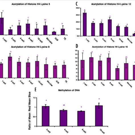 Acetylation Patterns Of Lysine 5 A Lysine 8 B Lysine 12 C And Download Scientific