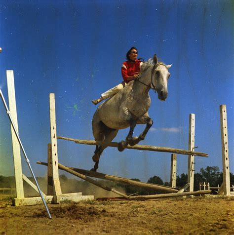 Old Pic Of My Mom And Her Horse Going Over A Fence Zoom In To See Mom