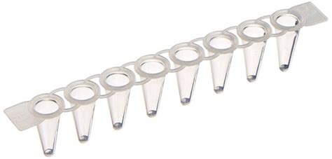 PCR Strip Tubes Individual PCR Tubes Axygen Fisher Biotec