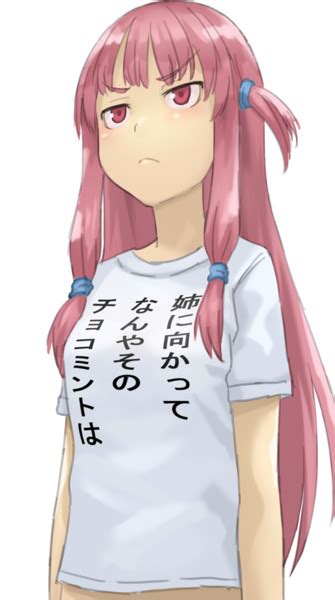 琴葉姉妹の姉妹喧嘩すると変なtシャツを着てくる方 くりおね さんのイラスト ニコニコ静画 イラスト