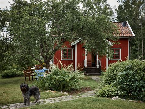 A Traditional Swedish Farm Surrounded By Nature Swedish Cottage