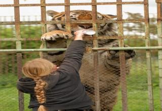 20 Giants Of The Animal Kingdom - Ftw Gallery | eBaum's World