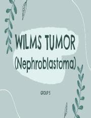 Wilms Tumor Nephroblastoma Pptx Pdf Wilms Tumor Nephroblastoma Group