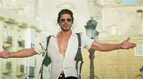 Pathan Pathaan Box Office Day 20 Shah Rukh Khan Movie Unstoppable