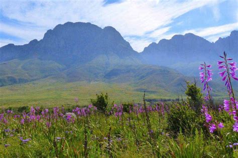 Guided Jonkershoek Hiking - Cape Trails