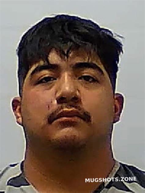 MEJIA ABRAHAM WILFREJO 06 16 2024 Calhoun County Mugshots Zone