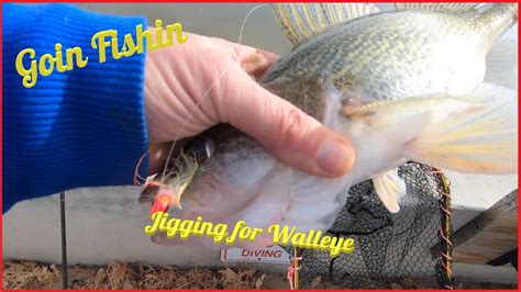 Went Jigging For Late Season Walleye YouTube