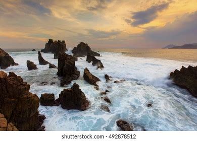 Stone Shark Teeth Locations Pegadung Beach Stock Photo 492878533 | Shutterstock