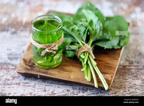 Plantain drink in a glass. Fresh leaves of plantain. Therapeutic tea of ...