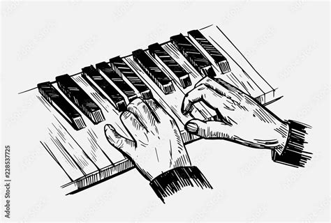 Sketch of piano keys. Hand drawn illustration converted to vector Stock ...