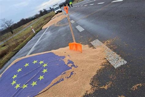 Leniwi nieudacznicy i frajerzy Ukraiński były ekonomista FAO o